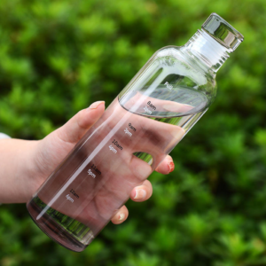 borosilicate glass water bottle with airtight lid | 500ml | 4 color options