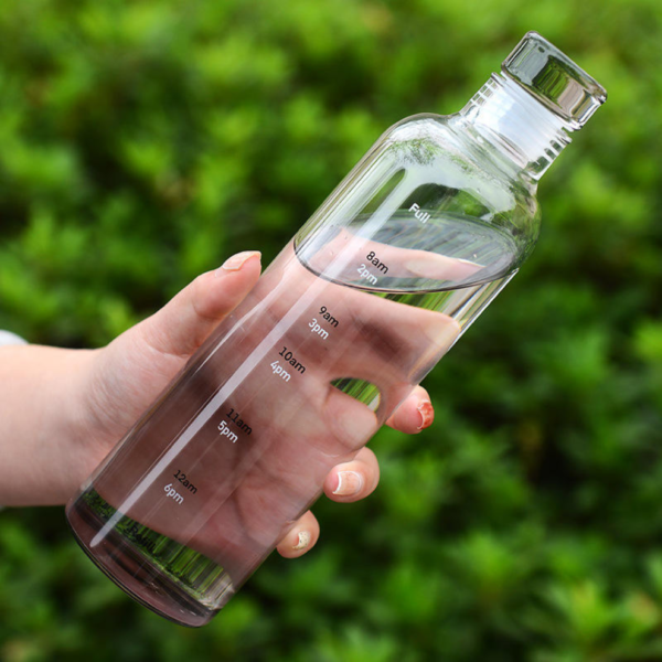 borosilicate glass water bottle with airtight lid | 500ml | 4 color options