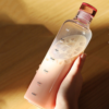 borosilicate glass water bottle with airtight lid | 500ml | 4 color options