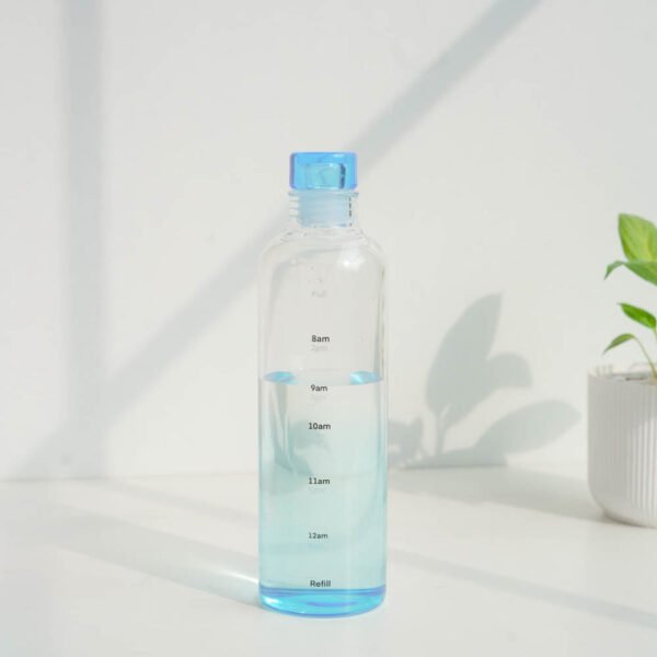 borosilicate glass water bottle with airtight lid | 500ml | 4 color options