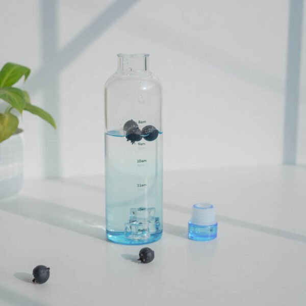 borosilicate glass water bottle with airtight lid | 500ml | 4 color options