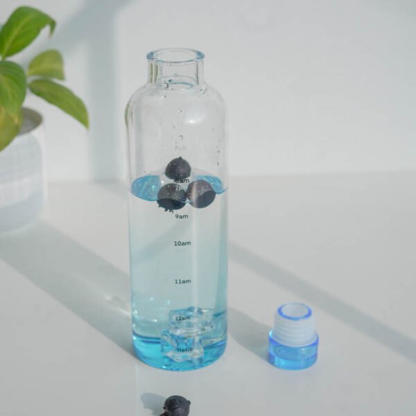 borosilicate glass water bottle with airtight lid | 500ml | 4 color options