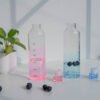 borosilicate glass water bottle with airtight lid | 500ml | 4 color options