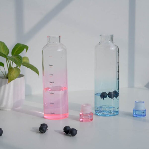 borosilicate glass water bottle with airtight lid | 500ml | 4 color options